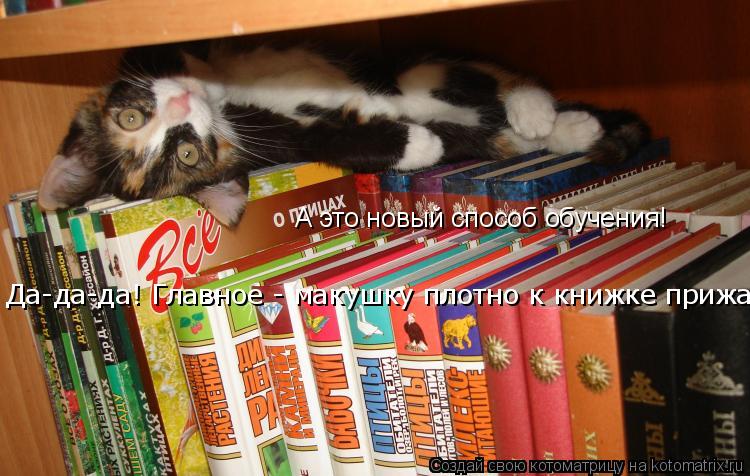 А это новый способ обучения! Да-да-да! Главное - макушку плотно к книжке прижать!... Котоматрица: А это новый способ обучения! Да-да-да! Главное - макушку плотно к книжке прижать!