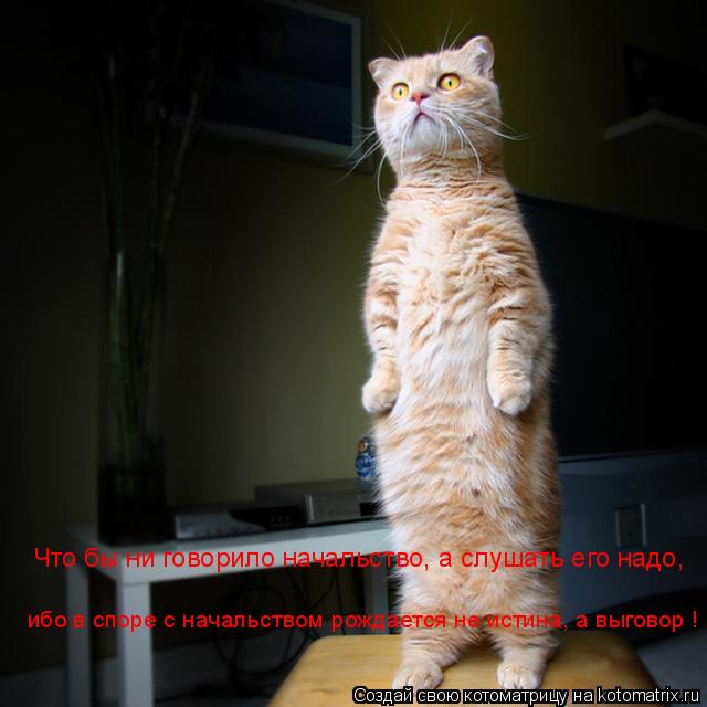 Что бы ни говорило начальство, а слушать его надо, ибо в споре с начальством рождается не истина, а в... Котоматрица: Что бы ни говорило начальство, а слушать его надо, ибо в споре с начальством рождается не истина, а выговор !