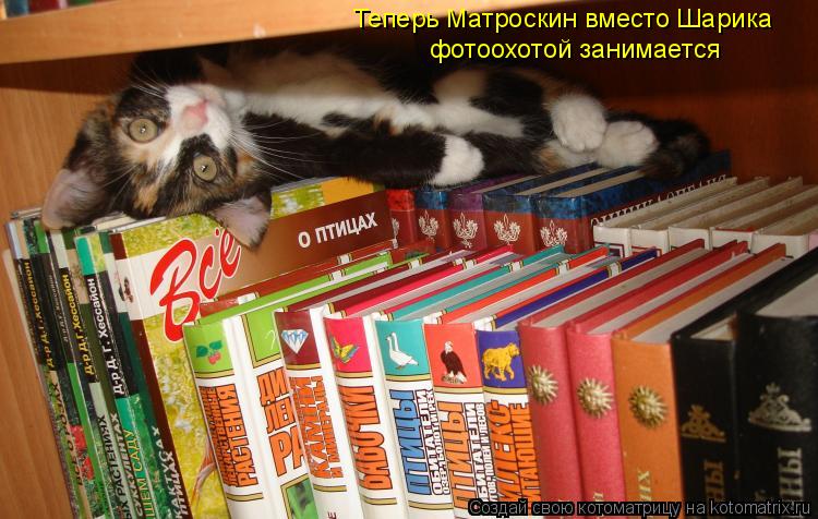Теперь Матроскин вместо Шарика фотоохотой занимается... Котоматрица: Теперь Матроскин вместо Шарика фотоохотой занимается