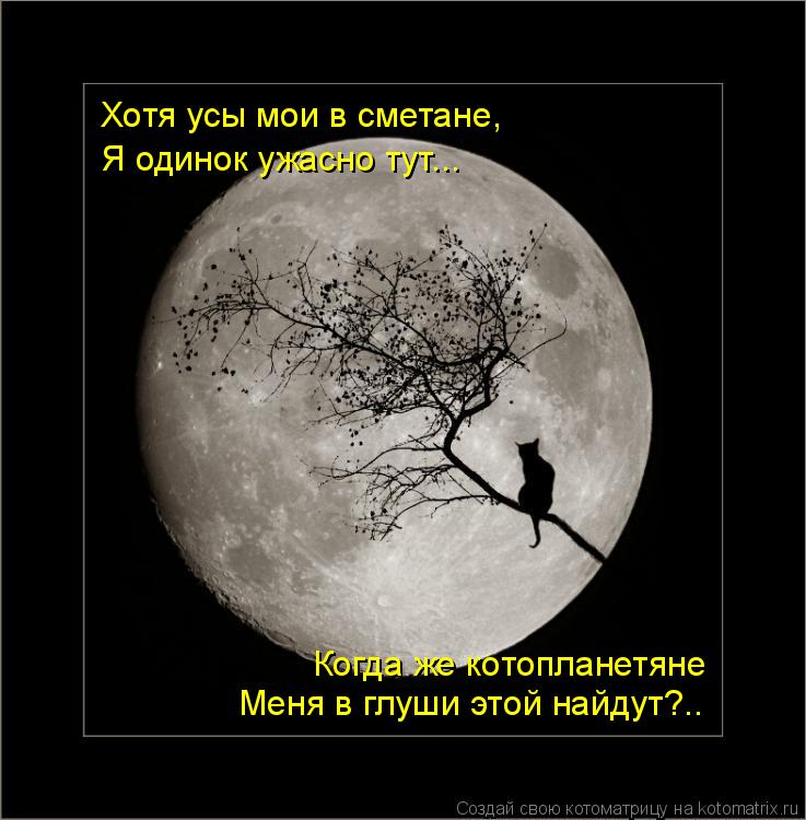 Котоматрица: Хотя усы мои в сметане, Я одинок ужасно тут... Когда же котопланетяне Меня в глуши этой найдут?..