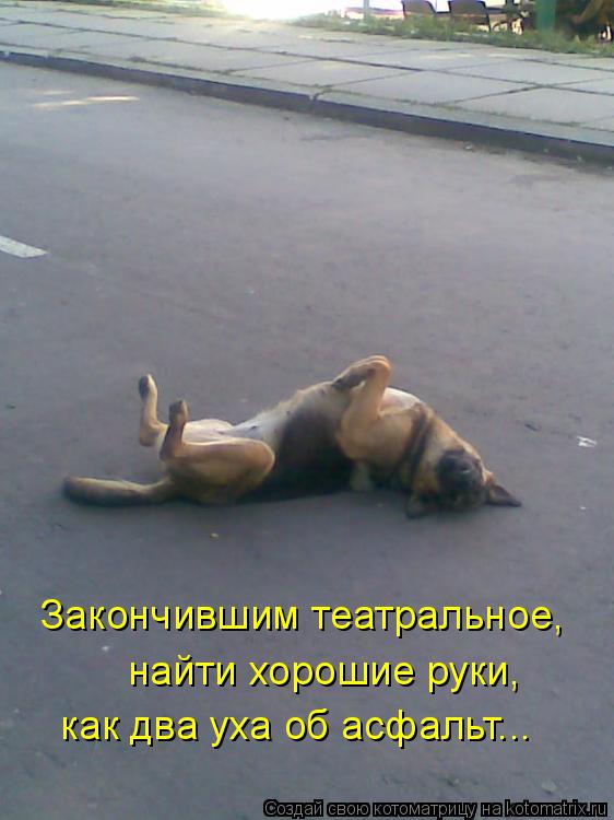 Закончившим театральное, найти хорошие руки, как два уха об асфальт...... Котоматрица: Закончившим театральное, найти хорошие руки, как два уха об асфальт...