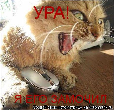 УРА! Я ЕГО ЗАМОЧИЛ... Котоматрица: УРА! Я ЕГО ЗАМОЧИЛ