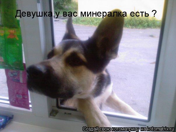 Девушка,у вас минералка есть ?... Котоматрица: Девушка,у вас минералка есть ?