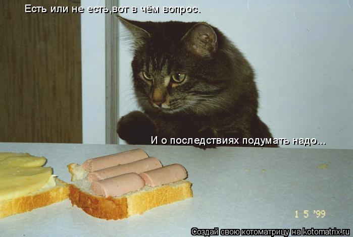 Есть или не есть,вот в чём вопрос. И о последствиях подумать надо...... Котоматрица: Есть или не есть,вот в чём вопрос. И о последствиях подумать надо...