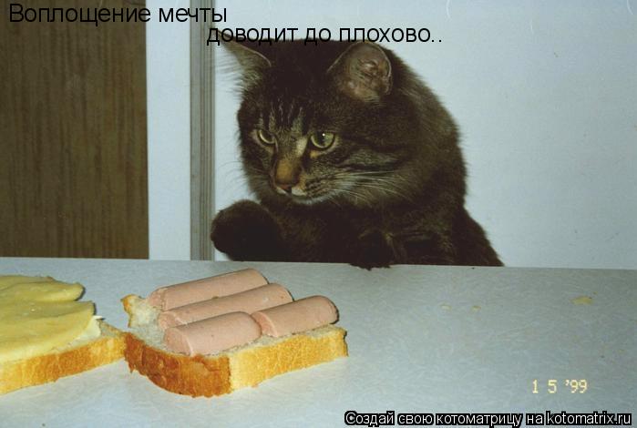 Воплощение мечты доводит до плохово..... Котоматрица: Воплощение мечты доводит до плохово..