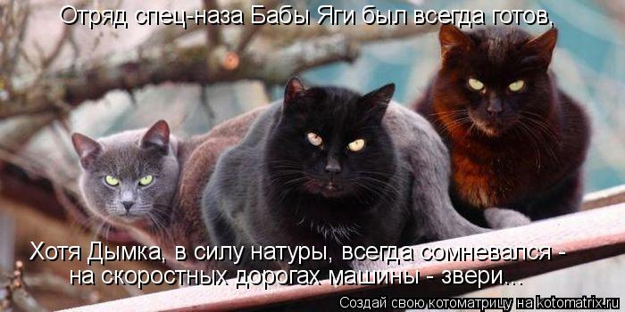 Отряд спец-наза Бабы Яги был всегда готов, Хотя Дымка, в силу натуры, всегда сомневался - на скоростн... Котоматрица: Отряд спец-наза Бабы Яги был всегда готов, Хотя Дымка, в силу натуры, всегда сомневался - на скоростных дорогах машины - звери...
