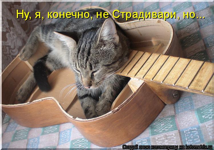 Ну, я, конечно, не Страдивари, но...... Котоматрица: Ну, я, конечно, не Страдивари, но...