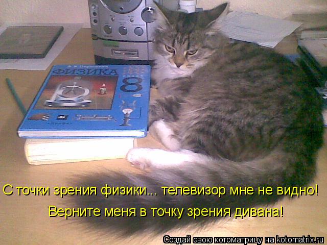 Котоматрица: С точки зрения физики... телевизор мне не видно!  Верните меня в точку зрения дивана!