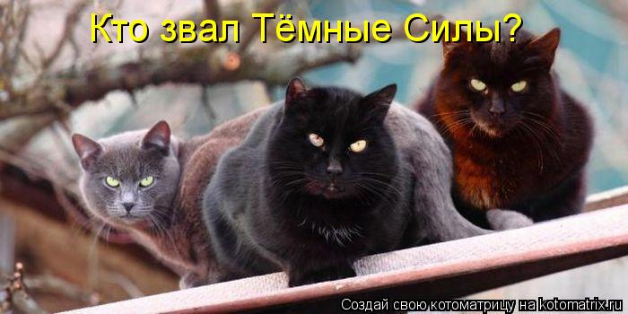 Кто звал Тёмные Силы?... Котоматрица: Кто звал Тёмные Силы?