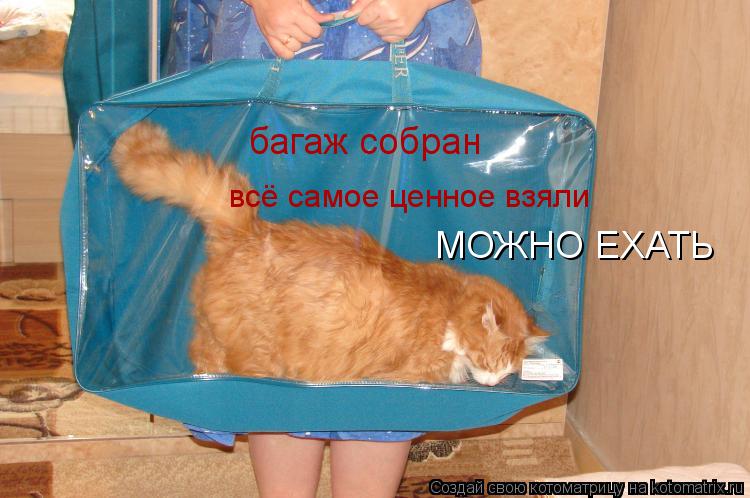 багаж собран всё самое ценное взяли МОЖНО ЕХАТЬ... Котоматрица: багаж собран всё самое ценное взяли МОЖНО ЕХАТЬ