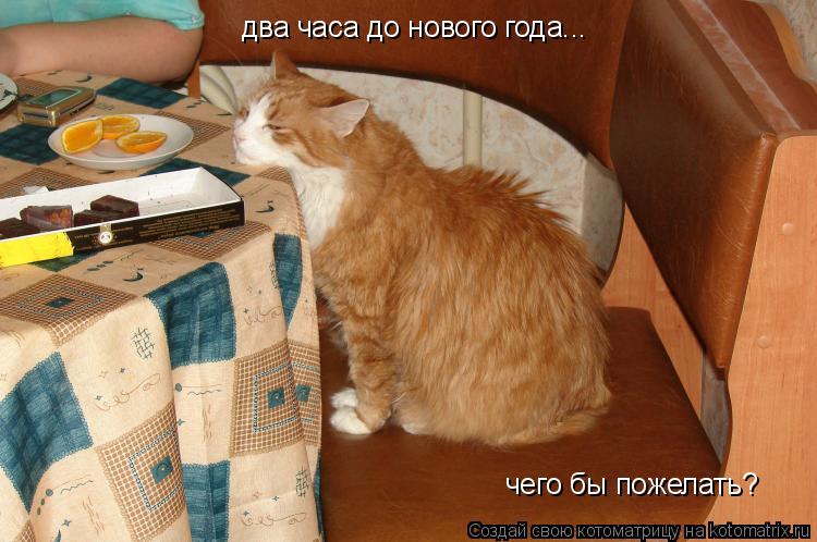 два часа до нового года... чего бы пожелать?... Котоматрица: два часа до нового года... чего бы пожелать?