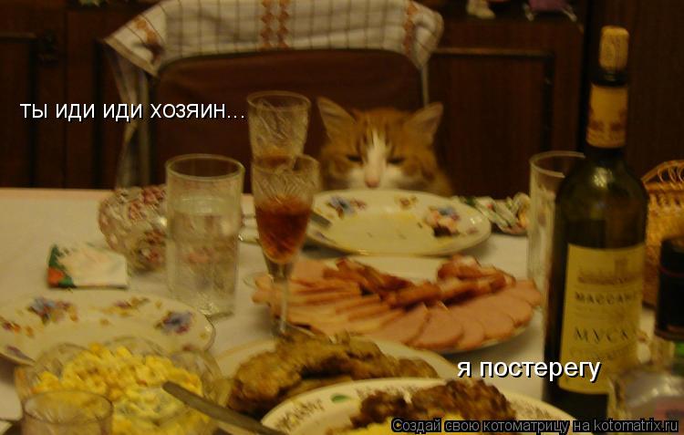 ты иди иди хозяин... я постерегу... Котоматрица: ты иди иди хозяин... я постерегу