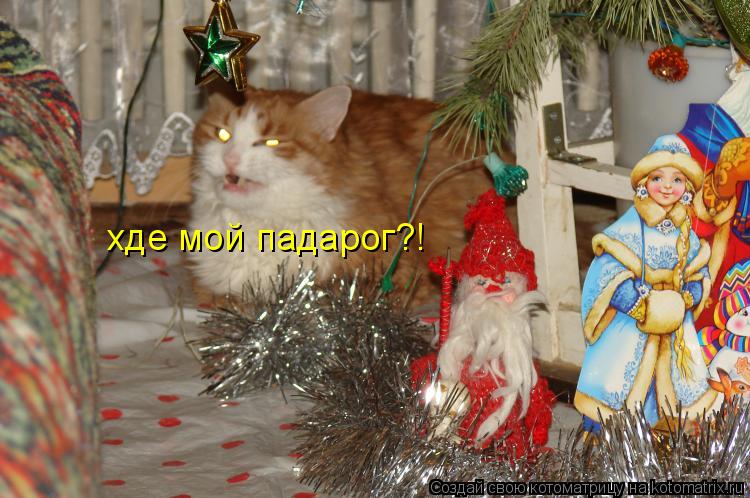 хде мой падарог?!... Котоматрица: хде мой падарог?!
