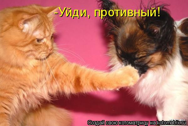 Котоматрица: -Уйди, противный!