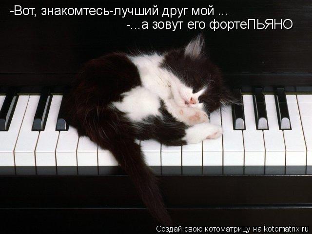 Котоматрица: -Вот, знакомтесь-лучший друг мой ... -...а зовут его фортеПЬЯНО