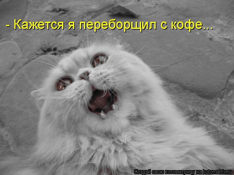 Котоматрица: - Кажется я переборщил с кофе...
