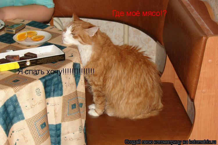 Котоматрица: Где моё мясо!? Я спать хочу!!!!!!!!!!!!!!
