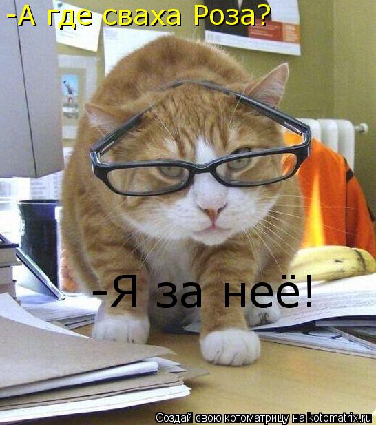 Котоматрица: -А где сваха Роза? -Я за неё!