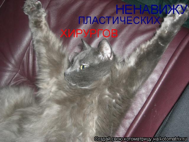 Котоматрица: НЕНАВИЖУ ПЛАСТИЧЕСКИХ ХИРУРГОВ