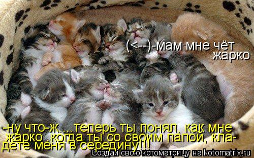 Котоматрица: (<--)-мам мне чёт жарко -ну что-ж....теперь ты понял, как мне  жарко ,когда ты со своим папой, кла- дёте меня в середину!!!