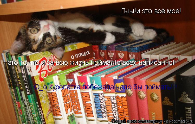Гыы!и это всё моё! это то,что я за всю жизнь поймал!о всех написанно! О_о!куропатка побежала!надо бы ... Котоматрица: Гыы!и это всё моё! это то,что я за всю жизнь поймал!о всех написанно! О_о!куропатка побежала!надо бы поймать!!!
