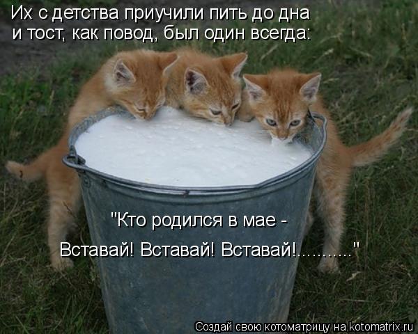 "Кто родился в мае - Вставай! Вставай! Вставай!..........." Их с детства приучили пить до дна и тост... Котоматрица: "Кто родился в мае - Вставай! Вставай! Вставай!..........." Их с детства приучили пить до дна и тост, как повод, был один всегда: