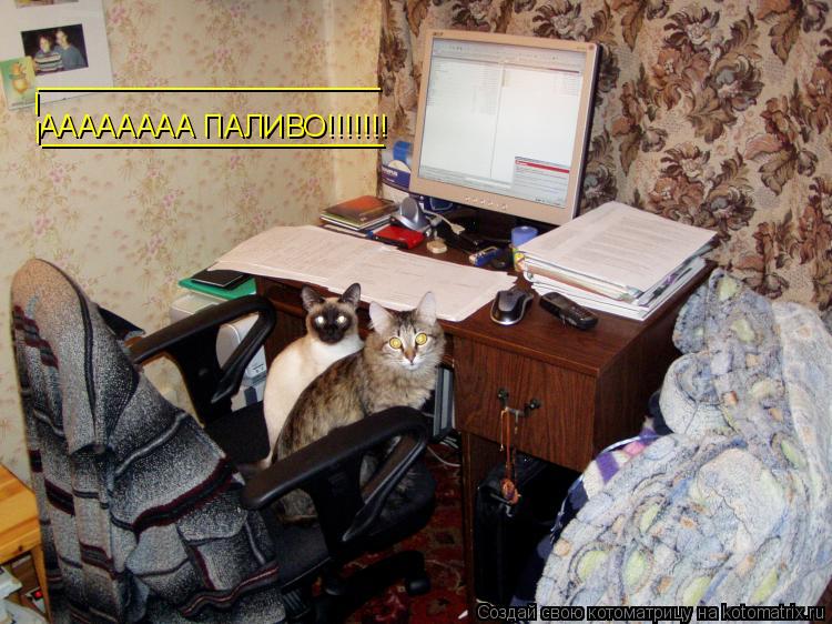 АААААААА ПАЛИВО!!!!!!! _____________________ _____________________ l l... Котоматрица: АААААААА ПАЛИВО!!!!!!! _____________________ _____________________ l l