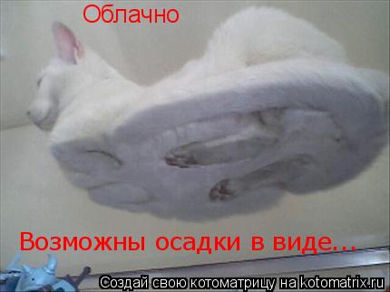 Облачно Возможны осадки в виде...... Котоматрица: Облачно Возможны осадки в виде...
