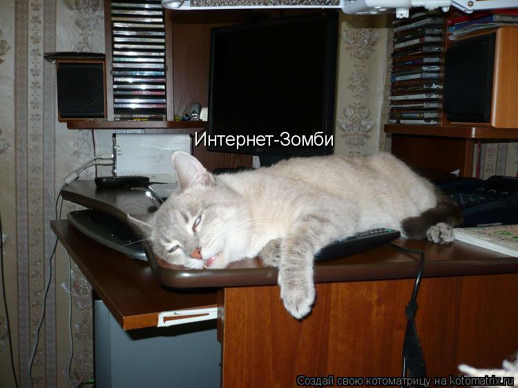 Интернет-Зомби... Котоматрица: Интернет-Зомби