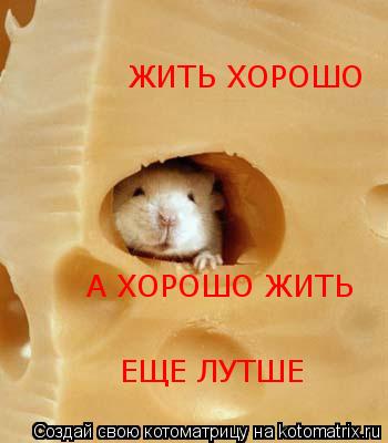 ЖИТЬ ХОРОШО А ХОРОШО ЖИТЬ ЕЩЕ ЛУТШЕ... Котоматрица: ЖИТЬ ХОРОШО А ХОРОШО ЖИТЬ ЕЩЕ ЛУТШЕ