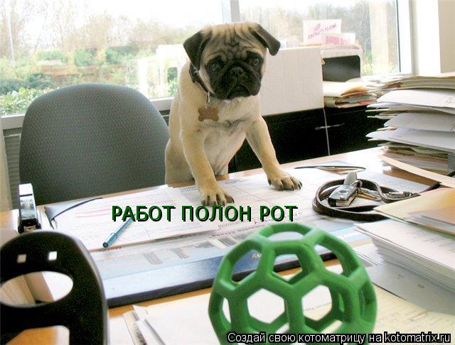 РАБОТ ПОЛОН РОТ... Котоматрица: РАБОТ ПОЛОН РОТ