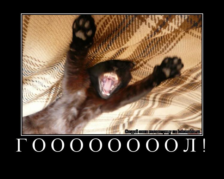 гоооооооол! ... Котоматрица: гоооооооол!