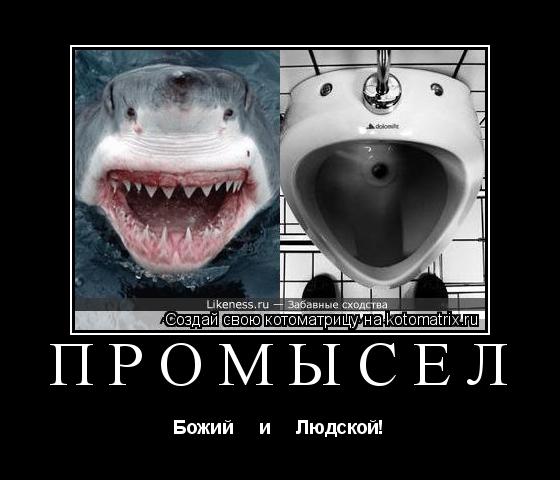 Промысел Божий и Людской!... Котоматрица: Промысел Божий и Людской!