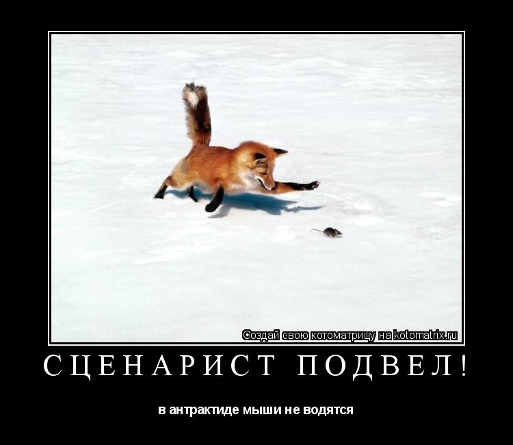 сценарист подвёл! в антрактиде мыши не водятся... Котоматрица: сценарист подвёл! в антрактиде мыши не водятся