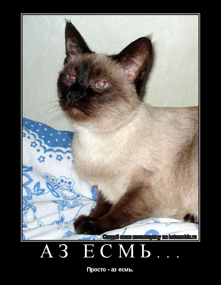 аз есмь... Просто - аз есмь.... Котоматрица: аз есмь... Просто - аз есмь.