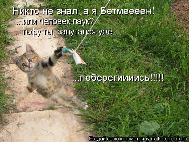 Никто не знал, а я Бетмеееен! ...или человек-паук? ...тьфу ты, запутался уже.. ...поберегиииись!!!!!... Котоматрица: Никто не знал, а я Бетмеееен! ...или человек-паук? ...тьфу ты, запутался уже.. ...поберегиииись!!!!!