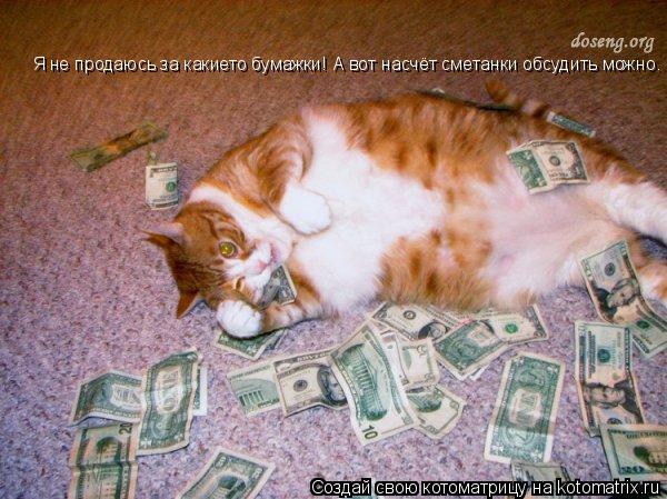 Я не продаюсь за какието бумажки! А вот насчёт сметанки обсудить можно.... Котоматрица: Я не продаюсь за какието бумажки! А вот насчёт сметанки обсудить можно.