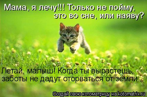 Мама, я лечу!!! Только не пойму, это во сне, или наяву? Летай, малыш! Когда ты вырастешь, заботы не д... Котоматрица: Мама, я лечу!!! Только не пойму, это во сне, или наяву? Летай, малыш! Когда ты вырастешь, заботы не дадут оторваться от земли...