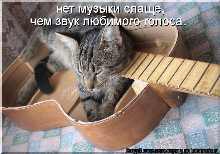 нет музыки слаще, чем звук любимого голоса.... Котоматрица: нет музыки слаще, чем звук любимого голоса.