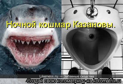 Ночной кошмар Казановы.... Котоматрица: Ночной кошмар Казановы.