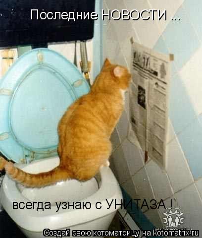 Последние НОВОСТИ ... всегда узнаю с УНИТАЗА !... Котоматрица: Последние НОВОСТИ ... всегда узнаю с УНИТАЗА !