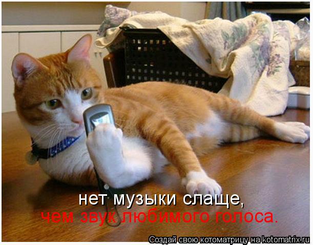 нет музыки слаще, чем звук любимого голоса.... Котоматрица: нет музыки слаще, чем звук любимого голоса.