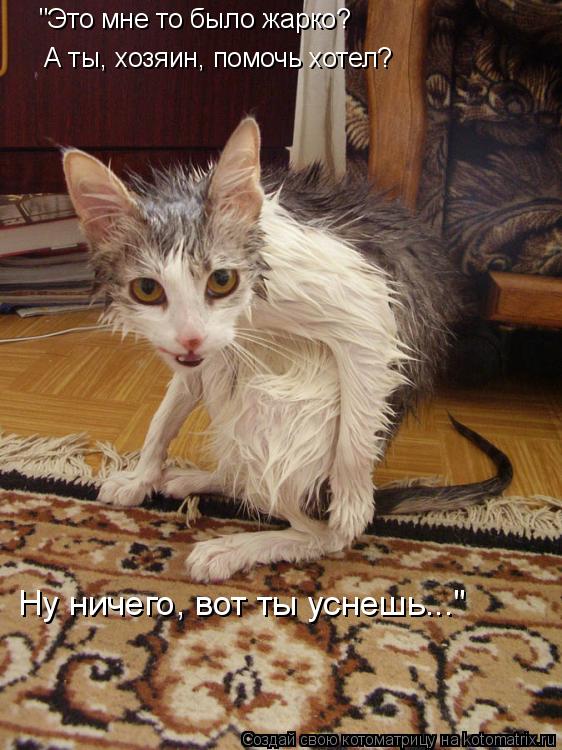 "Это мне то было жарко? А ты, хозяин, помочь хотел? Ну ничего, вот ты уснешь..."... Котоматрица: "Это мне то было жарко? А ты, хозяин, помочь хотел? Ну ничего, вот ты уснешь..."