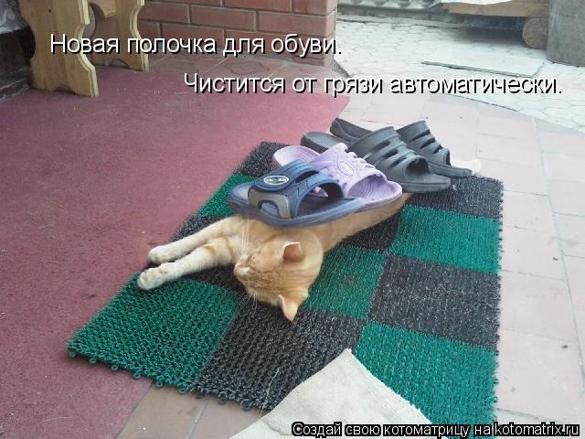 Новая полочка для обуви. Чистится от грязи автоматически.... Котоматрица: Новая полочка для обуви. Чистится от грязи автоматически.