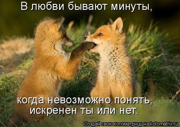 В любви бывают минуты, когда невозможно понять, искренен ты или нет.... Котоматрица: В любви бывают минуты, когда невозможно понять, искренен ты или нет.