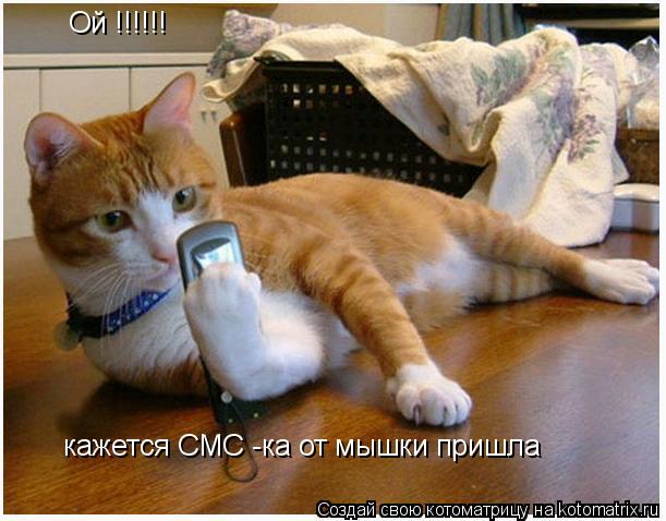 Ой !!!!!! кажется СМС -ка от мышки пришла... Котоматрица: Ой !!!!!! кажется СМС -ка от мышки пришла