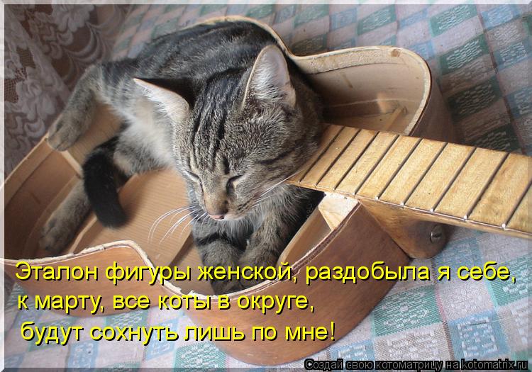 Эталон фигуры женской, раздобыла я себе, к марту, все коты в округе, будут сохнуть лишь по мне!... Котоматрица: Эталон фигуры женской, раздобыла я себе, к марту, все коты в округе, будут сохнуть лишь по мне!