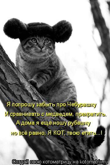 Я попрошу забыть про Чебурашку И сравнивать с медведем, прекратить. А дома я еще ношу рубашку но всё ... Котоматрица: Я попрошу забыть про Чебурашку И сравнивать с медведем, прекратить. А дома я еще ношу рубашку но всё равно, Я КОТ, твою етить...!