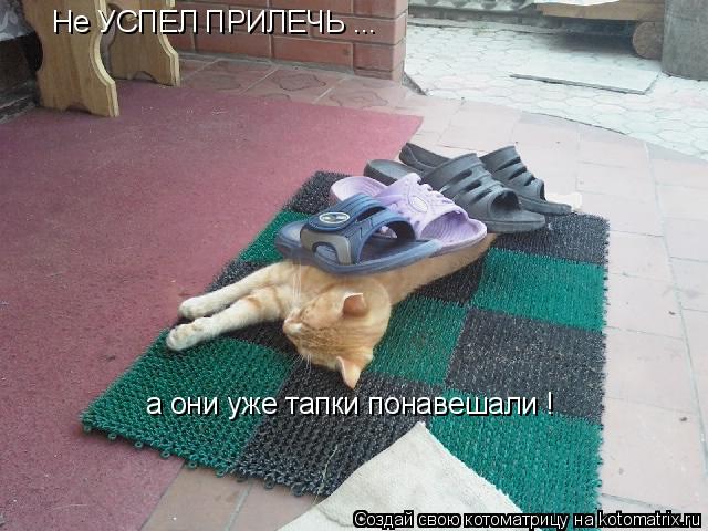 Не УСПЕЛ ПРИЛЕЧЬ ... а они уже тапки понавешали !... Котоматрица: Не УСПЕЛ ПРИЛЕЧЬ ... а они уже тапки понавешали !