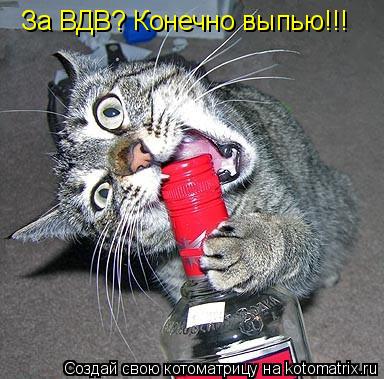 За ВДВ? Конечно выпью!!!... Котоматрица: За ВДВ? Конечно выпью!!!